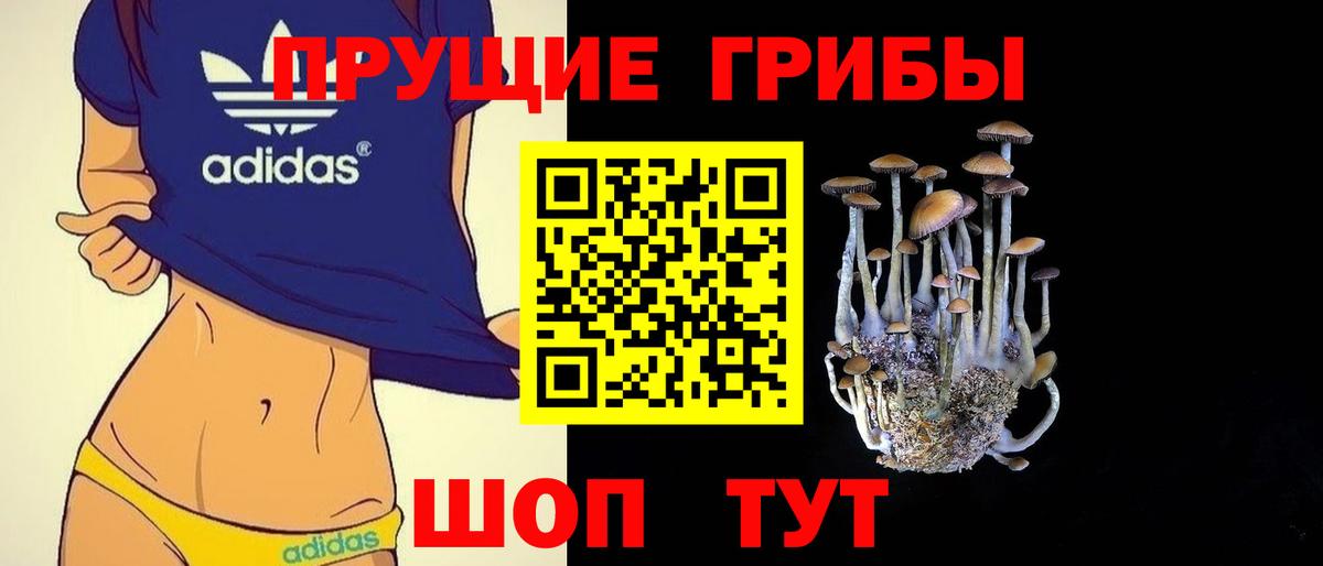 Мегион  Галлюциногенные грибы мухоморы  Псилоцибиновые грибы Magic Shrooms  Вход с VPN 